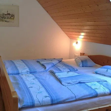 Apartment In Mit Garten Und Panorama Wittenschwand